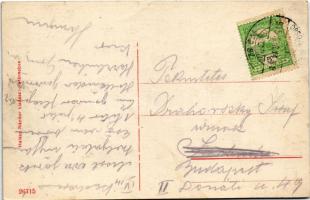 1915 Karánsebes, Caransebes; látkép. Halász Nándor kiadása / general view + "ORSOVA - BUDAPEST ...