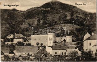 1916 Szilágysomlyó, Simleu Silvaniei; Magura hegy, Simai-féle kastély. Heimlich Izidor kiadása / castle (EK)