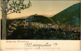 1903 Kisdisznód, Michelsberg, Cisnadioara; látkép. Verlag G.A. Seraphin. Chromophot. v. Jos. Drotleff / general view (r)