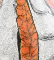 Iparművészeti Gorka váza, kerámia, jelzés nélkül, hibátlan, m: 16,5cm