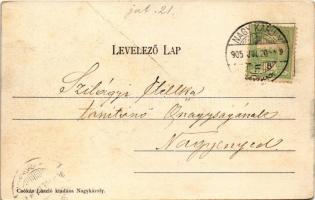 1905 Nagykároly, Carei; Deák Ferenc tér, Kovács György, Rubletzky Ignác, Klein József, Pucser Károly...