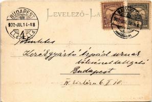 1902 Nagykároly, Carei; Kölcsey utca, M. kir. posta. Csókás László kiadása / street view, post offic...