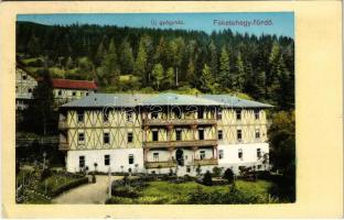 1913 Feketehegyfürdő, Feketehegy, Cernohorské kúpele (Merény, Vondrisel, Nálepkovo); Új gyógyház / new sanatorium, spa (EK)