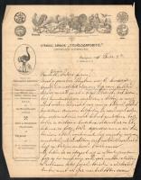 1911 Bp., Strausz Sándor Tojásszaporító fejléces levélpapírjára írt, személyes hangvételű levél, 3 kézzel írt oldal