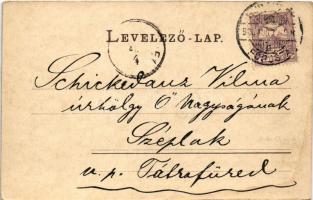 1900 Nagyvárad, Oradea; Szent László tér, piac, Csordás Testvérek üzlete / square, market, shops (EK...