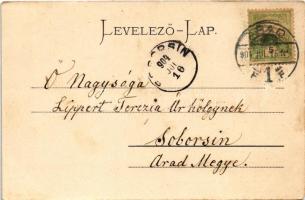 1904 Arad, Andrássy tér, Szentháromság szobor, üzletek / square, Holy Trinity statue, shops (EM)