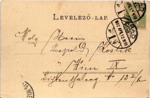 1902 Arad, Andrássy tér, sörcsarnok, üzletek / square, beer hall, shops (EK)