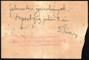 1919.VI.28. Nagykőrös, a 7. vörös huszárezred parancsnoksága által kiadott nyílt parancs, Dr. Straus...