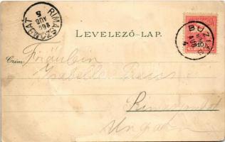 1900 Buziás, Buziásfürdő, Baile Buzias; Gyógyterem, József-forrás, szökőkút, Fasor a meleg fürdőhöz....