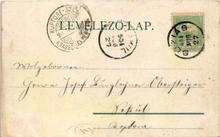 1904 Buziás, Buziásfürdő, Baile Buzias; Nagy szálloda, Herrling Károly üzlete és saját kiadása / Gra...