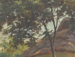 Szontágh Tibor (1873-1930): Napfényes udvar. Olaj, vászon, jelzett. Dekoratív, kissé sérült fakeretb...