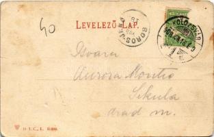 1908 Kolozsvár, Cluj; Wesselényi Miklós utca, Kovács József, Pap Ernő üzlete / street view, shops (E...