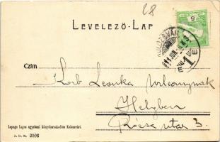 1911 Kolozsvár, Cluj; Karolina kórház a klinikákkal. Lepage Lajos kiadása / hospital, clinics (EK)