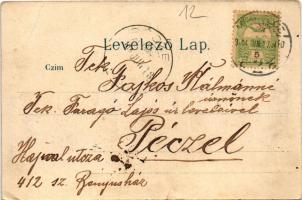 1904 Budapest VII. Magyar színház. litho (szakadás / tear)