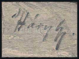 Háry Gyula (1864-1946) után, Morelli Gusztáv (1848-1909): Maros-Vásárhely (Marosvásárhely) főtere, 1...