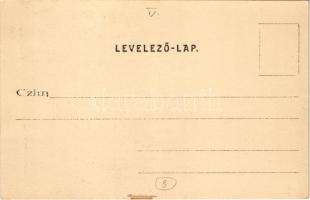 Budapest V. Szervita templom, Lang M. és Zelenkai üzlete. Divald Károly 410