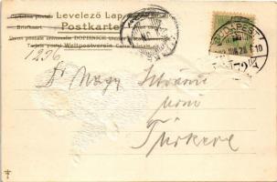 1902 Dog, poodle. Emb. litho