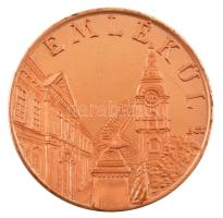 Bognár György (1944-) ~1990-2000. "Emlékül / Városi Jogú Nagyközségi Közös Tanács - Kunszentmik...