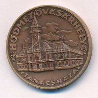 Csucs Viktória (1934-1993) DN Hódmezővásárhely Tanácsháza kétoldalas bronz emlékérem (32mm) T:1- kis ph