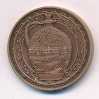 Csucs Viktória (1934-1993) DN "Hódmezővásárhely Tanácsháza" kétoldalas bronz emlékérem (32...