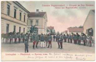 1904 Nagykikinda, Kikinda; Lóvizsgálat, osztrák-magyar katonák / Pferdevisit / K.u.K. military, horse examination, soldiers (EK)