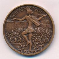 Tóth Sándor (1933-2019) 1981. "Bartók Béla / MÉE Szeged" kétoldalas bronz emlékérem plombá...