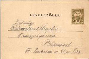 1902 Budapest III. Rómaifürdő, Római fürdő; Berczik István miniszteri tanácsos nyaralója, villa - Él...