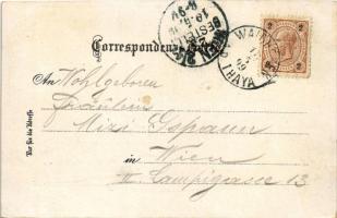 1899 (Vorläufer) Waidhofen an der Thaya, Thayathal, Landes-Real-Gymnasium / valley, bridge, school. ...