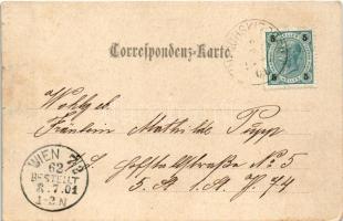 1901 Ulrichskirchen, Ulrichskirchen-Schleinbach; general view, church, castle. F. Schöler Wien Art N...