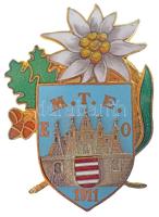 1911. M.T.E. E-O (Magyar Turista Egyesület Esztergomi Osztálya) 1911 zománcozott és aranyozott jelvény függőleges tűvel (29x41mm) T:1- patina