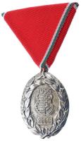 2006. Magyar Vidék Országos 56-os Szövetség kétoldalas, ezüstözött bronz kitüntető érem mellszalagon T:1