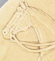 Josef Steidl Znaim Preimerleutenant Frh Reitzenstein zweiter im Distanzritte Berlin Wien feliratos, ...