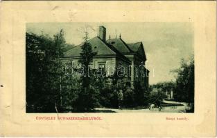 1916 Dunaszerdahely, Dunajská Streda; Sárga kastély. W.L. Bp. Petényi Márk kiadása / castle (b)