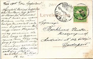 1908 Szeghalom, Kárász kastély. Stern Mór kiadása 1542. (W.L. ?) (EK)