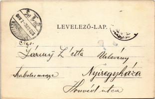 1903 Nagyenyed, Aiud; Fő tér, templom, piac / main square, church, market (EK)