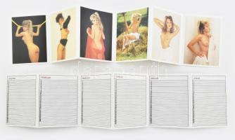 cca 1980 Erotikus öröknaptár, leporellószerű, 12 aktfotóval, két részben. Képek mérete: 10,5x8 cm
