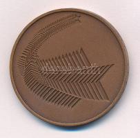 1978. "60 éves a Magyar Kommunisták Pártja 1918-1978" kétoldalas bronz emlékérem (42,5mm) ...