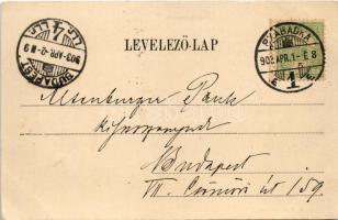 1903 Szabadka, Subotica; utca. Vig Zsigmond Sándor kiadása / street view (EK)