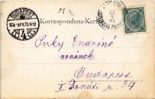 1904 Herceg Novi, Castelnuovo; palm tree. photo (EK)