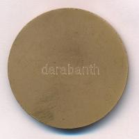 Tóth Sándor (1933-2019) 1980. "P. Kelemen didák O. Fm. Conv. 1683-1744" egyoldalas bronz e...