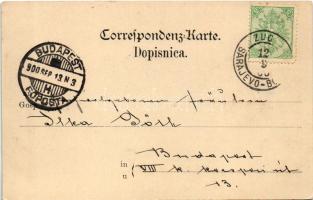 1900 Sarajevo, Gesamtansicht von Süd / general view (EK)