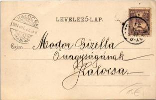 1901 Nagyrőce, Gross-Rauschenbach, Velká Revúca; Nagyrőczei fürdő. Büchler Béla kiadása / spa, bathi...