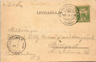 1903 Kovácspatak, Kovacov; Otthon villa. Stromf Ignác kiadása / villa