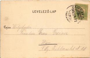 1905 Rajecfürdő, Rajecz-fürdő, Rajecké Teplice; Gyógyház tér. Jassniger W. P. és Fia kiadása / Curha...