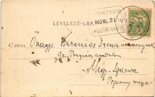 1905 Jolsva, Jelsava (Gömör); Városi fürdő, Czibur-féle kertrészlet. Czibur Emil kiadása / spa, bath...