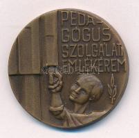 1975. Pedagógus Szolgálati Emlékérem bronz kitüntetés fül és mellszalag nélkül T:1- ph NMK 714.