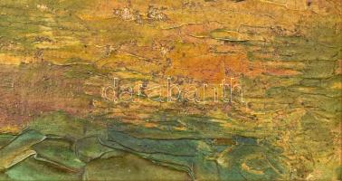 Pallavicini Ilona ( - ): Nádtetőrakók. Olaj, karton. Jelzett. 22,5x27cm