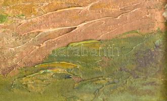 Pallavicini Ilona ( - ): Aratás. Olaj, karton. Jelzett. Kopottas jelzéssel. 22,5x27cm