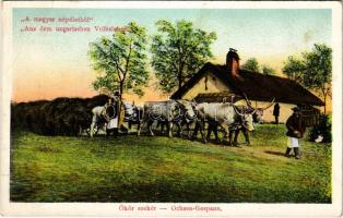 A magyar népéletből: Ökör szekér / Hungarian folklore, oxen cart (EB)
