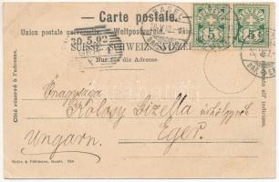 1902 Basel, Alte Rheinbrücke m. Gross-Basel / bridge. Rathe & Fehlmann 734. Art Nouveau, flower,...